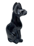 Black Obsidian Sphynx Cat #403