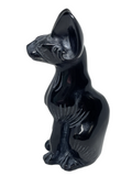 Black Obsidian Sphynx Cat #403