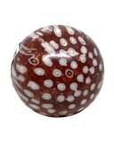 Coral Fossil Sphere #409 - 4.5cm