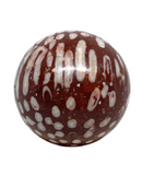 Coral Fossil Sphere #409 - 4.5cm