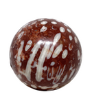 Coral Fossil Sphere #409 - 4.5cm