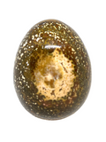 Ocean Jasper Egg #282