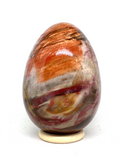 Petrified Wood Egg #288 - 9cm