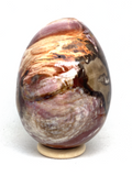 Petrified Wood Egg #289 - 10cm