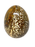 Ocean Jasper Egg #282