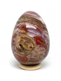 Petrified Wood Egg #288 - 9cm