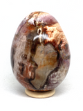 Petrified Wood Egg #289 - 10cm