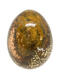 Ocean Jasper Egg #282