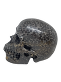 Leopard Jasper Skull #388