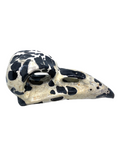 Picture Jasper Raven Skull #449 - 7.8cm