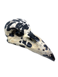 Picture Jasper Raven Skull #449 - 7.8cm