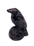 Garnet Raven #436