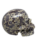 Asteroid Jasper Skull #375