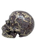 Asteroid Jasper Skull #375