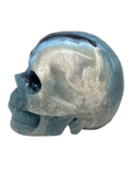 Trolleite Skull #374