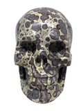 Asteroid Jasper Skull #375