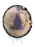 Natural Agate Slice with Print #2