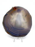 Natural Agate Slice with Print #2
