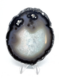 Natural Agate Slice with Print #1