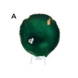 Natural & Dyed Agate Slice with Print #4