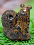 Jasper Snail with Skull #411