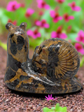 Jasper Snail with Skull #411