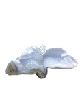 Blue Lace Agate Specimen #398