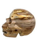 Petrified Wood Skull #408
