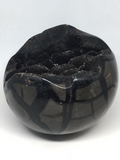 Septarian Geode Egg # 194