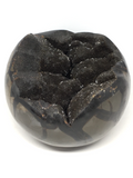 Septarian Geode Egg # 194