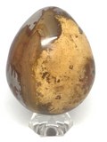 Polychrome Jasper Egg # 208 - 7.7cm