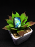 Labradorite Cabochon # 29