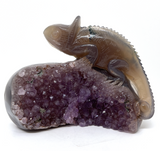 Amethyst Agate Geode Carnelian Lizard #499
