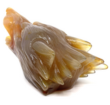 Agate Geode Wolf #500
