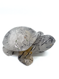 Tourmalinated Quartz Turtle #67
