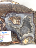 Dugway Agate Geode # 111