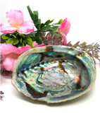 Abalone Shell - Small