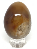 Agate Egg #217 - 7cm