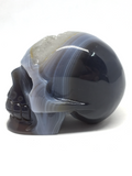 Agate Geode Skull #352