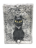 Black Cat Spirit Box 13cm x 10cm