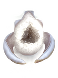 Agate Geode Bovine Carving #96