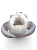 Agate Geode Bovine Carving #96