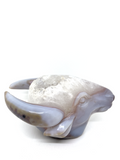 Agate Geode Bovine Carving #96