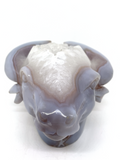 Agate Geode Bovine Carving #96