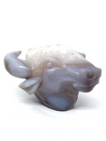 Agate Geode Bovine Carving #96