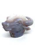 Agate Geode Bovine Carving #96