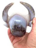 Agate Geode Bovine Carving #96