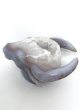 Agate Geode Bovine Carving #96