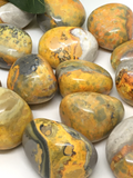 Bumble Bee Jasper Tumble Stones - Large