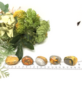 Bumble Bee Jasper Tumble Stones - Large